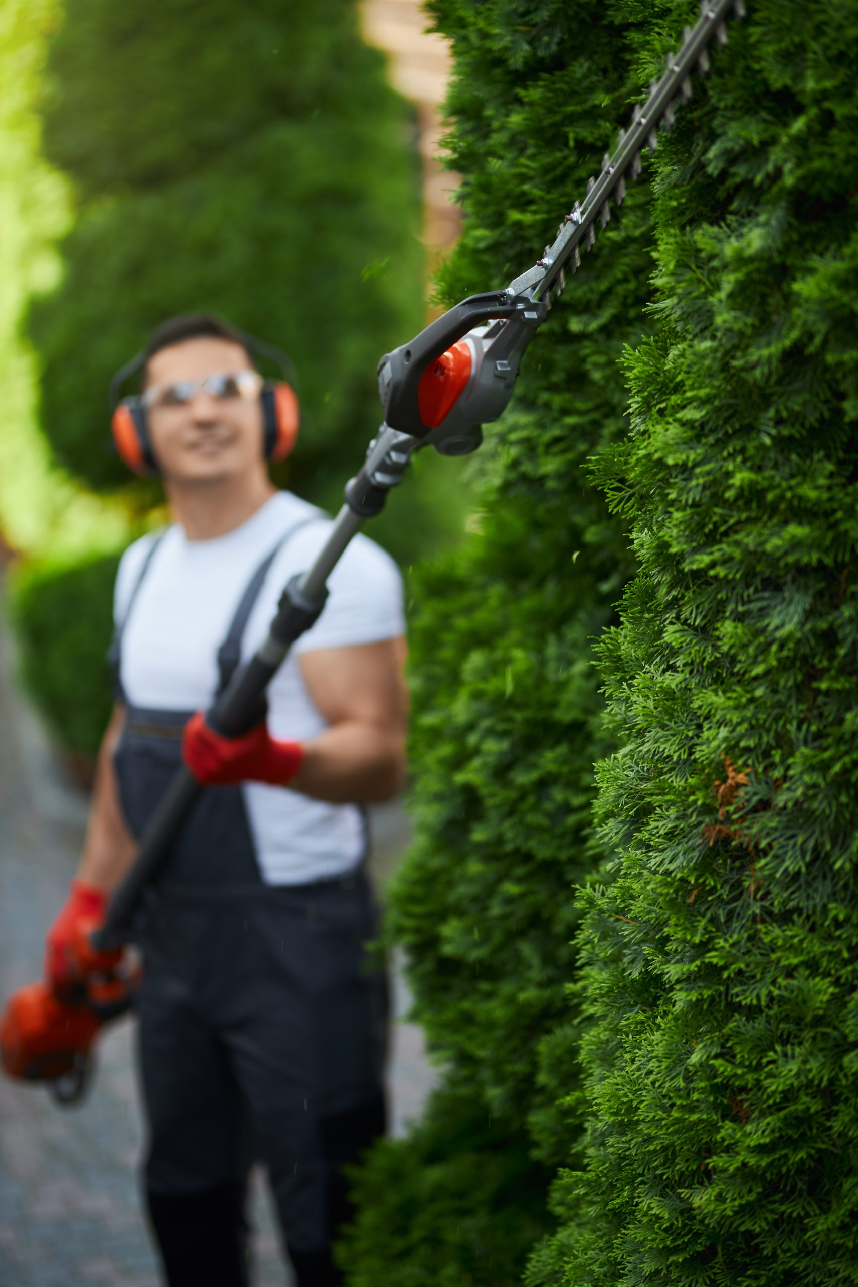 man uniform trimming hedge summer time scaled